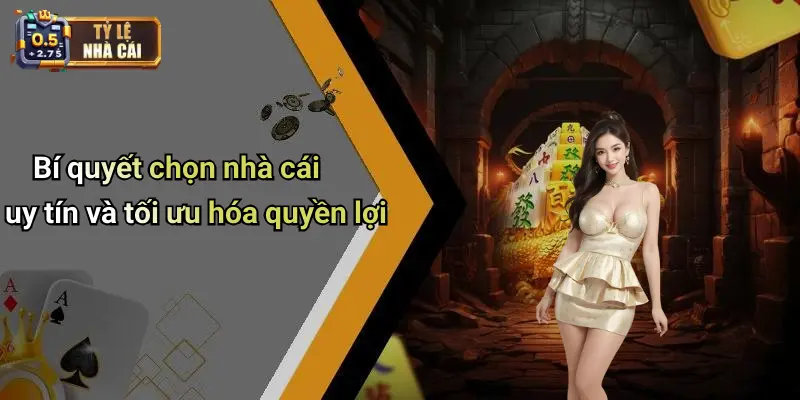 Bí quyết chọn nhà cái uy tín và tối ưu hóa quyền lợi