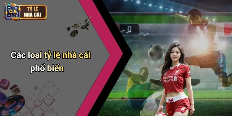 Các loại tỷ lệ nhà cái phổ biến