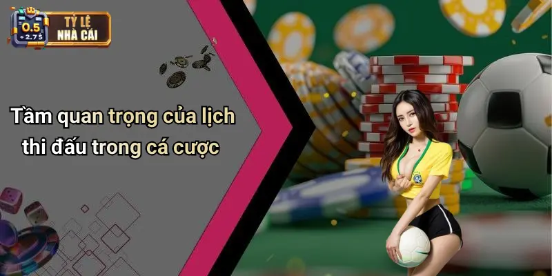 Tầm quan trọng của lịch thi đấu trong cá cược