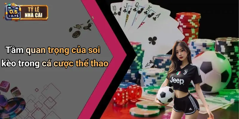 Tầm quan trọng của soi kèo trong cá cược thể thao