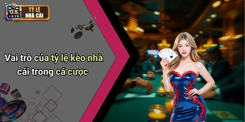 Vai trò của tỷ lệ kèo nhà cái trong cá cược