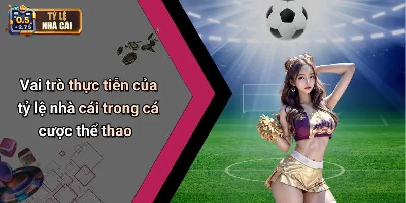 Vai trò thực tiễn của tỷ lệ nhà cái trong cá cược thể thao