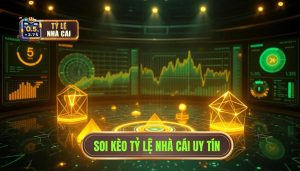 Soi Kèo Theo Tỷ Lệ Nhà Cái: Nghệ Thuật Phân Tích Để Chiến Thắng Bền Vững