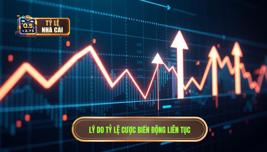 Tại sao tỷ lệ cược lại biến động liên tục?